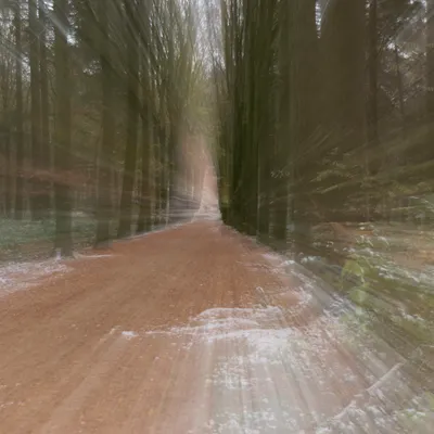 Hemelse Berg 231125 Oosterbeek 48A1850