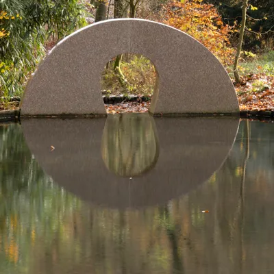 Hemelse Berg 231125 Oosterbeek 48A1878