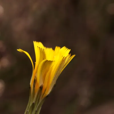 Het Quin 201024 Afferden 48A0572