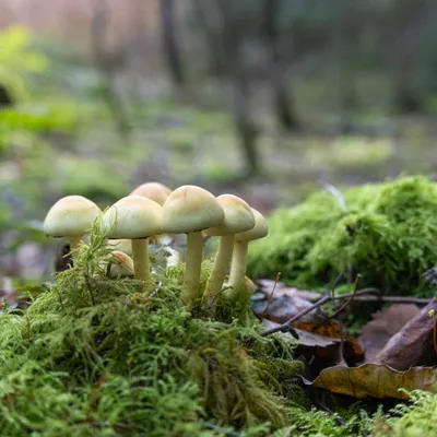 Ine 2023 10 18naamloos 39 scaled