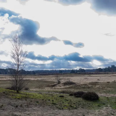 Ine 2024 02 25naamloos