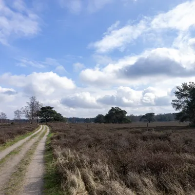 Ine 2024 02 25naamloos 44