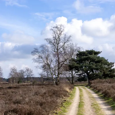 Ine 2024 02 25naamloos 57