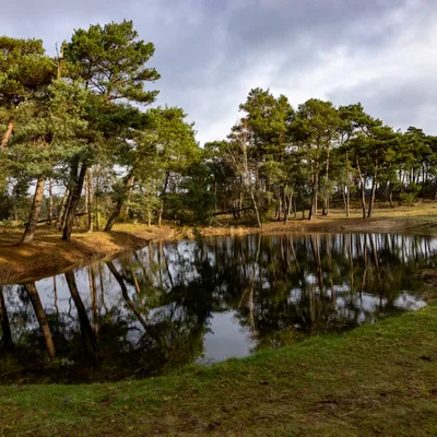 Ine 2024 02 25naamloos 8