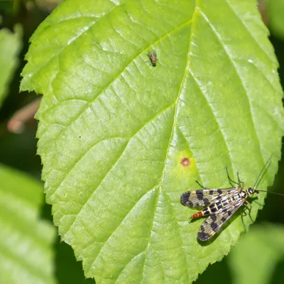 Ine 2024 06 23naamloos 17