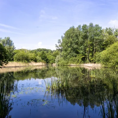 Ine 2024 06 23naamloos 33