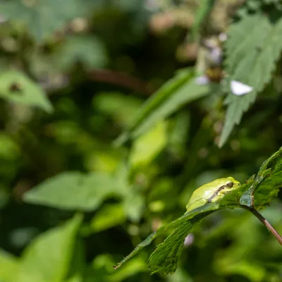 Ine 2024 06 23naamloos 44