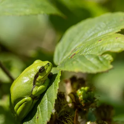 Ine 2024 06 23naamloos 48