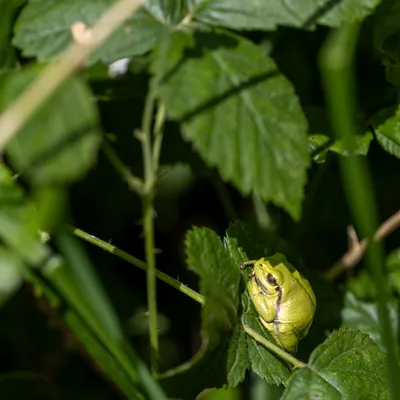 Ine 2024 06 23naamloos 69