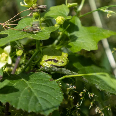 Ine 2024 06 23naamloos 95