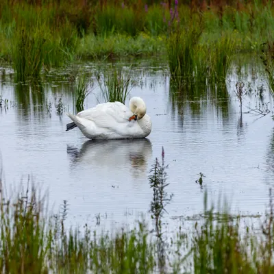 Ine 2024 07 21naamloos 74