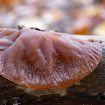 Ine 2024 11 17naamloos 142