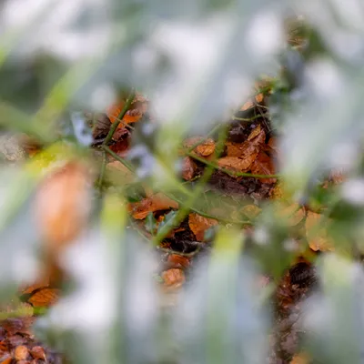 Ine 2024 11 17naamloos 15