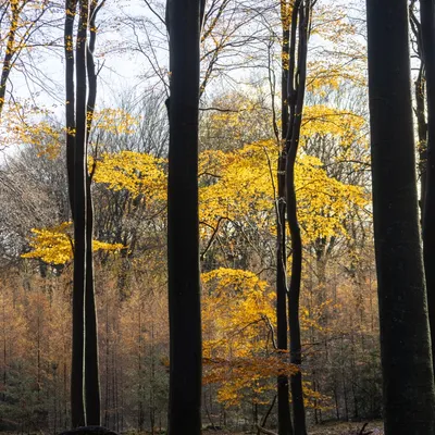 Ine 2024 11 17naamloos 153