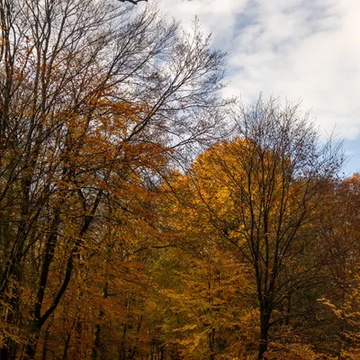 Ine 2024 11 17naamloos 63