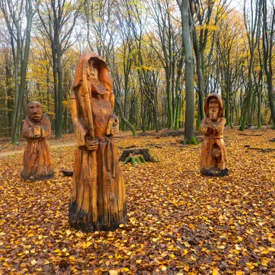 Ine 2024 11 17naamloos 84