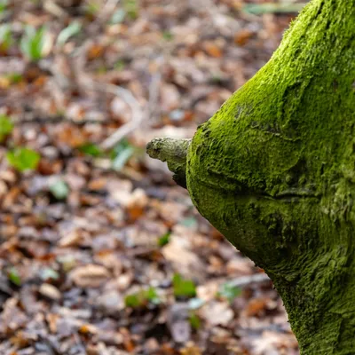 Ine 2025 03 23naamloos