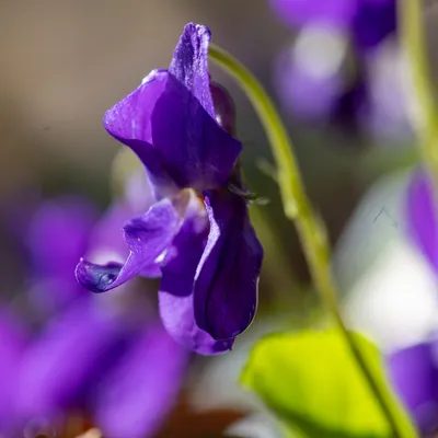 Ine 2025 03 23naamloos 28