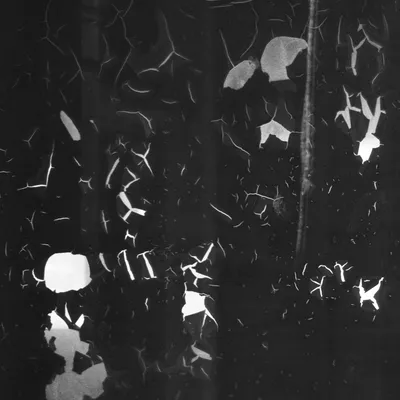 Ine 2025 03 23naamloos 40 kopie 1