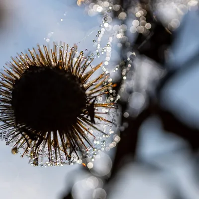 Ine 2025 09 28naamloos 12 scaled