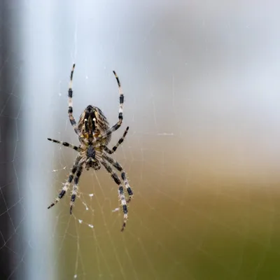 Ine 2025 09 28naamloos 138 scaled