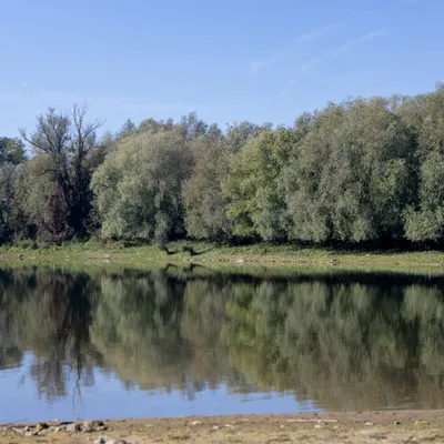 Ine 2025 09 28naamloos 68 scaled