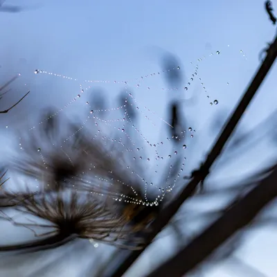 Ine 2025 09 28naamloos 88 scaled