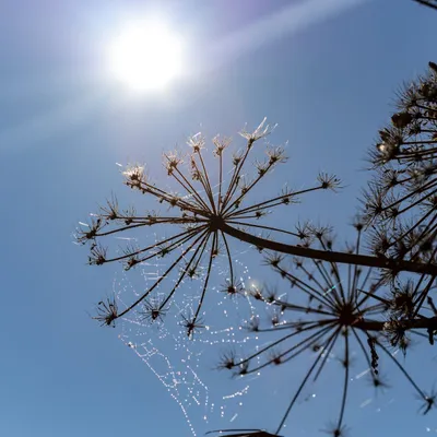 Ine 2025 09 28naamloos 91 scaled