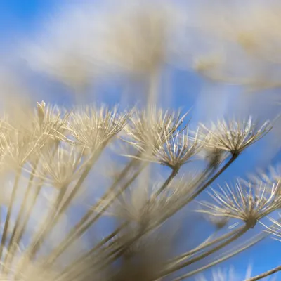 Ine 2025 09 28naamloos 92 scaled