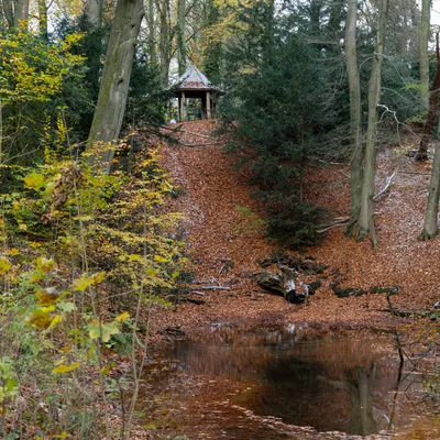 Ine 2025 11 23naamloos 102