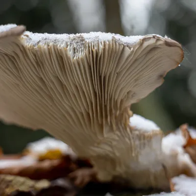 Ine 2025 11 23naamloos 117