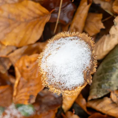 Ine 2025 11 23naamloos 140