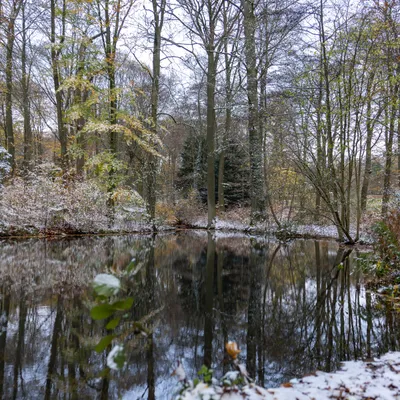 Ine 2025 11 23naamloos 18