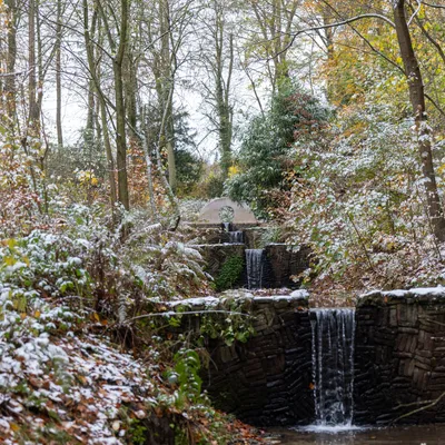 Ine 2025 11 23naamloos 35