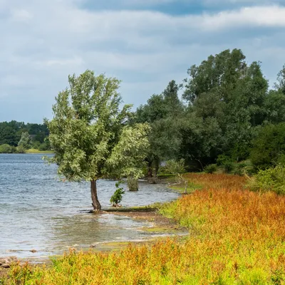 Kraaijenbergse plassen 1752