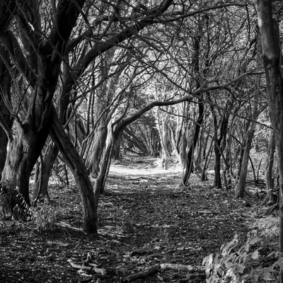 Kraaijenbergse plassen 1758