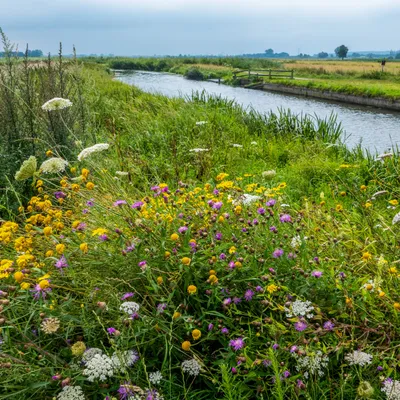 Binnenveldse Hooijlanden`