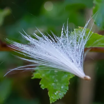 Landgoed Vrijland 8258