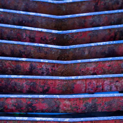 Onzalige bossen 0722