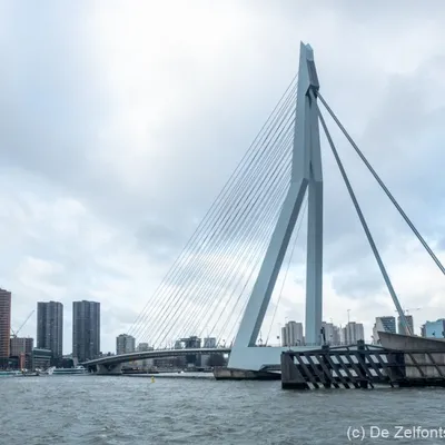 Rotterdam