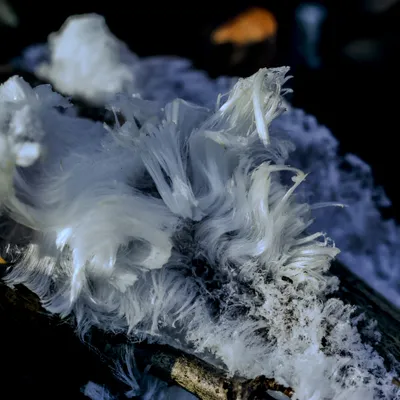 Posbank 160225 De Steeg 48A0733