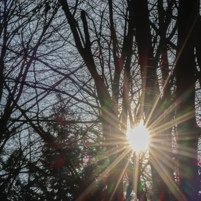 Posbank 160225 De Steeg 48A0755