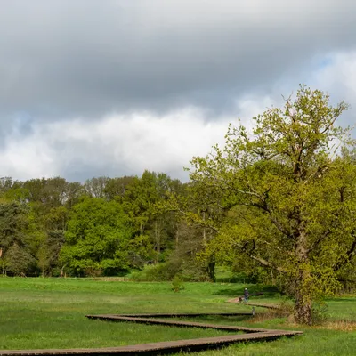 Renkums Beekdal 5625