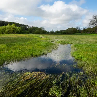 Renkums Beekdal 5632