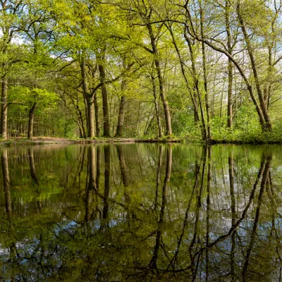 Renkums Beekdal 5647