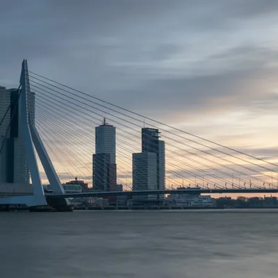 Rotterdam 2847