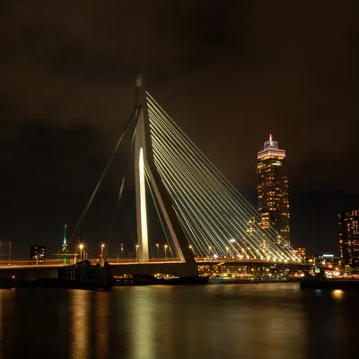 Rotterdam 2902