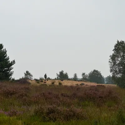 Rozendaaalse veld 0069