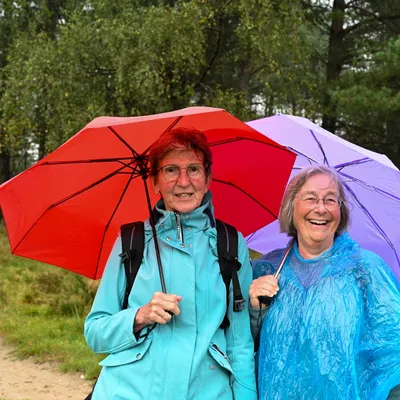 Rozendaaalse veld 0089