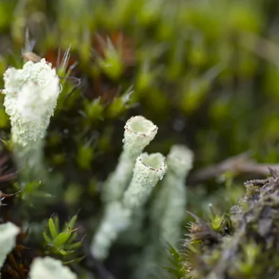 Wekeromse zand 250224 Wekerom 48A9258